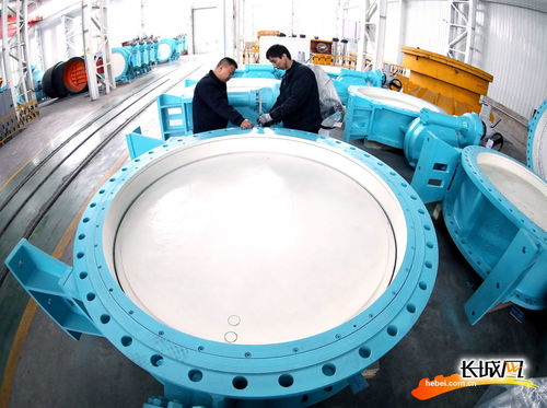 智能裝備制造集群助力河北隆堯經濟高質量發展 閥門制造業的轉型與升級