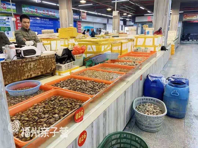 福州最全海鮮購買攻略 從水產(chǎn)品批發(fā)市場到家庭餐桌
